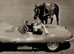 Jaguar XKSS Steve McQueen, horse